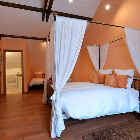 Le Clos Des Raisins Bed & Breakfast Beblenheim