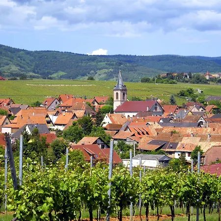 Bed & Breakfast Le Clos Des Raisins Beblenheim