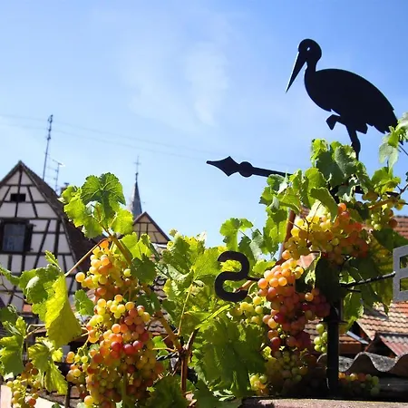 Bed & Breakfast Le Clos Des Raisins Beblenheim