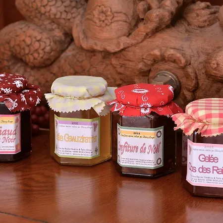 Le Clos Des Raisins Bed & Breakfast