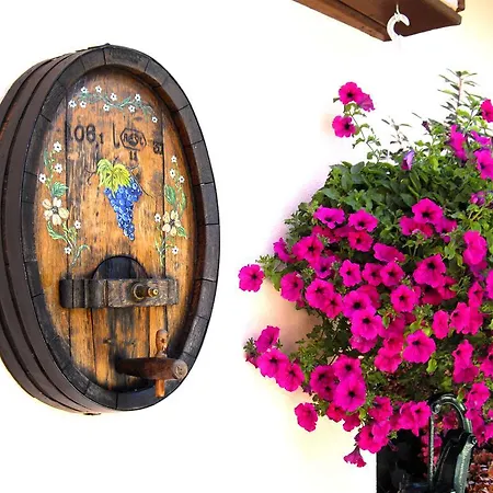 Le Clos Des Raisins Beblenheim