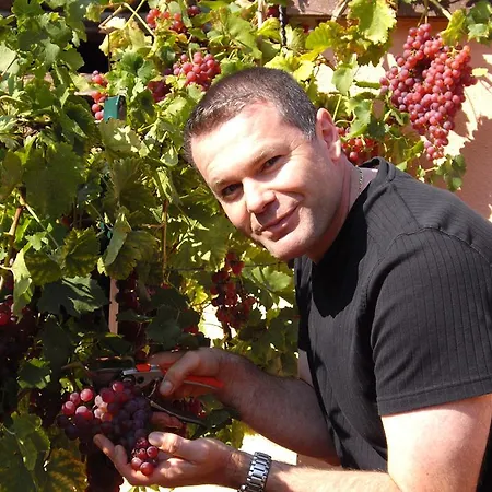 Bed & Breakfast Le Clos Des Raisins 3*