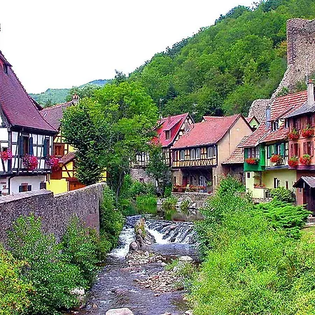 Le Clos Des Raisins Bed & Breakfast Beblenheim