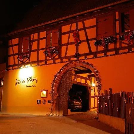 Le Clos Des Raisins Bed & Breakfast