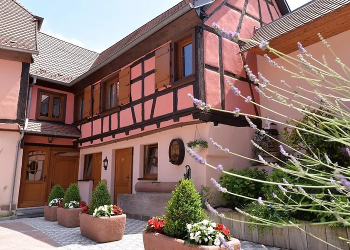 Oda ve Kahvaltı Le Clos Des Raisins 3*